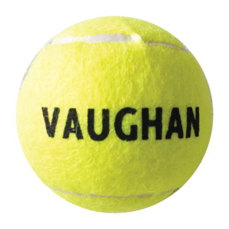 vaughan tennis ball yellow 3bag 1